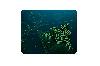 Goliathus Mobile, RAZER, Mouse Pad, Black/Green RZ02-01820200-R3M1. Goliathus Mobile, RAZER, Mouse Pad, Black/Green RZ02-01820200-R3M1.
